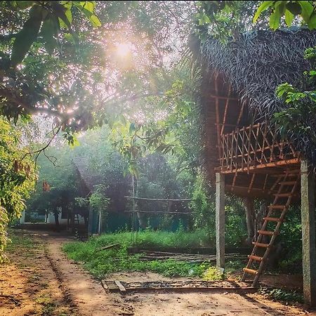 Art Forest Pondicherry Luaran gambar