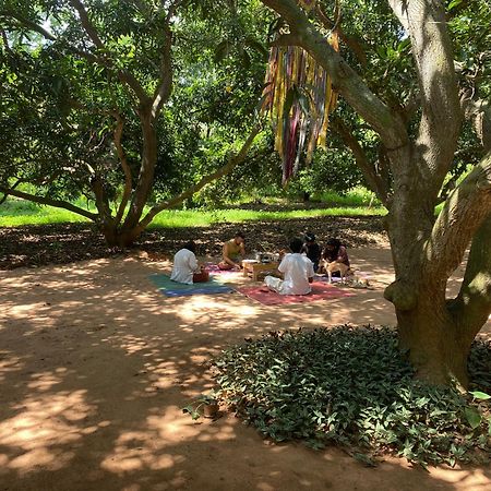 Art Forest Pondicherry Luaran gambar