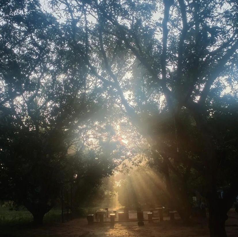Art Forest Pondicherry Luaran gambar