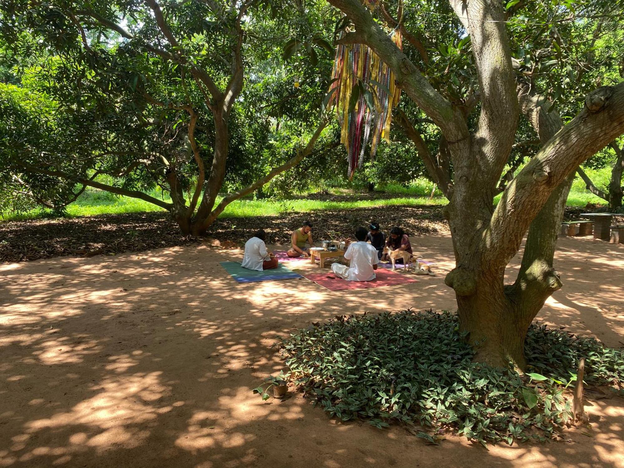 Art Forest Pondicherry Luaran gambar