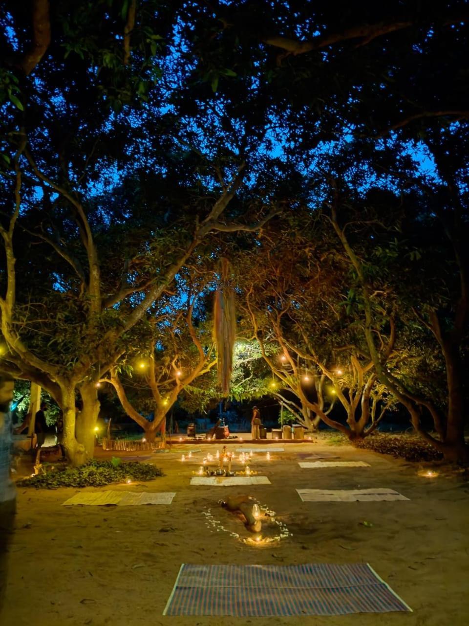 Art Forest Pondicherry Luaran gambar
