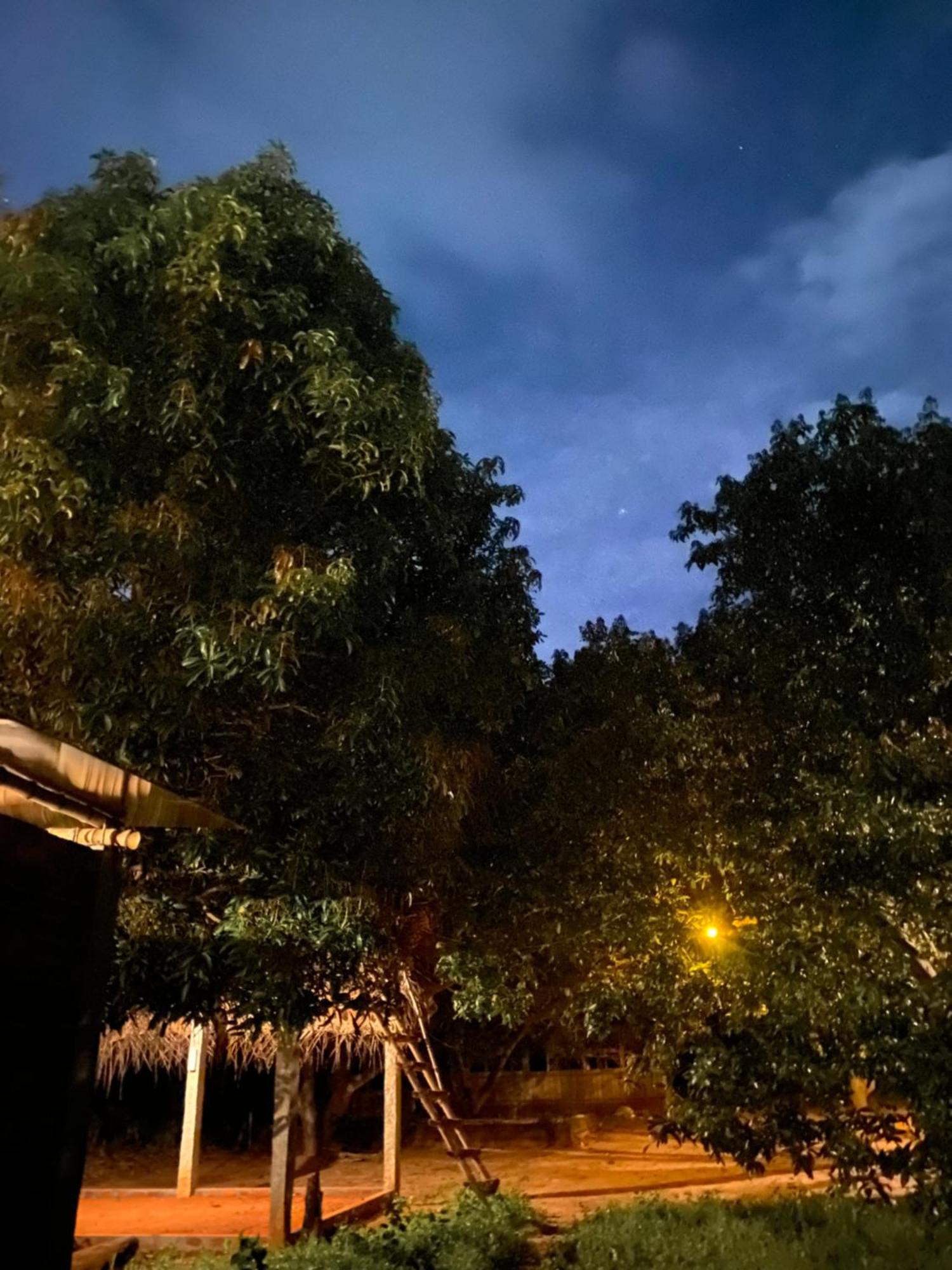 Art Forest Pondicherry Luaran gambar