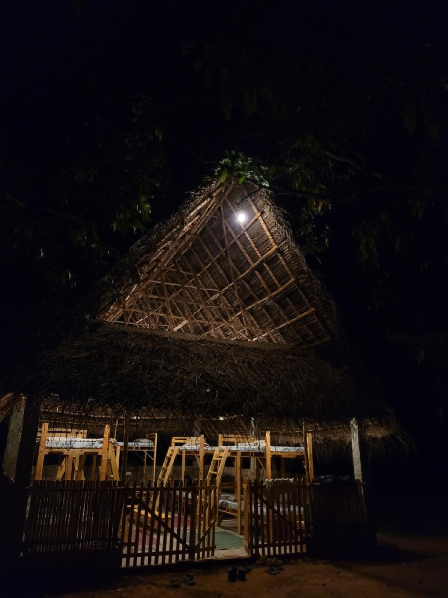 Art Forest Pondicherry Luaran gambar